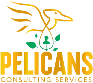 Pelicans Consulting Services